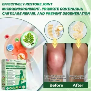 Purelora® Moringa Berberine NAD 10-in-1 Nano Microneedle Patch (Just once daily, visible changes in 7 days) Supports weight management, loose skin, diabetes care, sleep apnea, joint comfort, and more