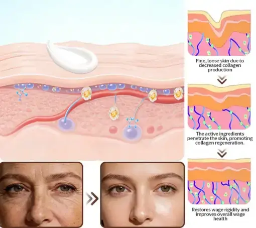 Purelora® Stem Cell Extract EGF and Copper Peptide Revitalizing Essence Cream (deeply activates the skins internal regeneration, making the skin firmer and smoother)