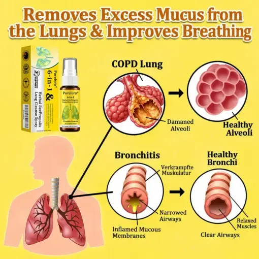 𝐏𝐔𝐑𝐄𝐋𝐎𝐑𝐀® 6-in-1 Herbal BeePropolis Lung Cleanse Spray