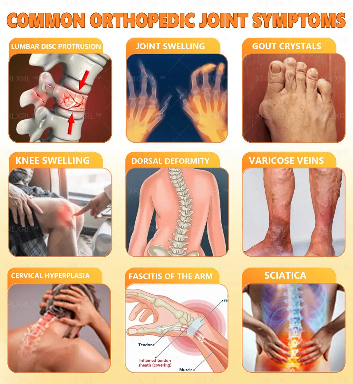 Purelora®💞💞 Bee Venom Pain-Relief Bone Healing Cream (Specially for older adults)